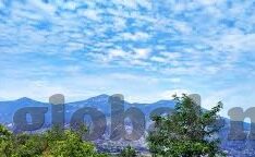 伦理动-伦理动，驱动社会进步的隐形力量