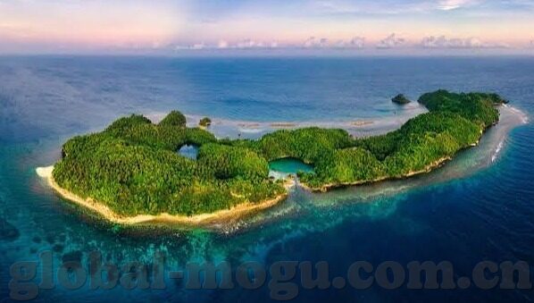 麻豆传媒是啥意思-探索大众文化中的麻豆传媒，一种网络现象的多元解读