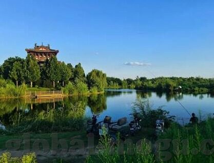 麻豆果冻视频在线观看-LED视角下的一场视觉盛宴，麻豆果冻视频的在线体验指南