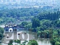 欧美在线成人视频-欧美在线成人视频，文化、社会与个人选择的交汇点