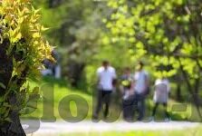 人妻系列一区二区-探索人妻系列一区二区的文化现象与情感纠葛