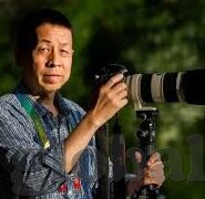 在线观看伦理片-伦理边界与在线观影的微妙平衡